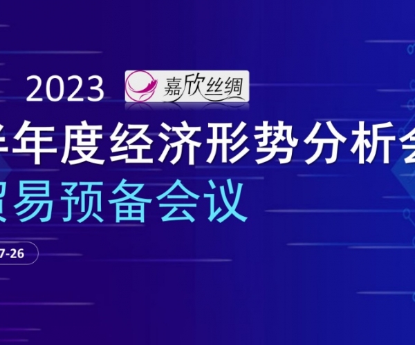 贸易总额稳定，，，，，贸易质量提升 纽约国际丝绸召开2023半年度经济形势分析会贸易预备会议