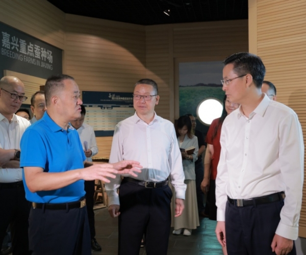 陈伟书记莅临调研历史经典产业提质发展工作