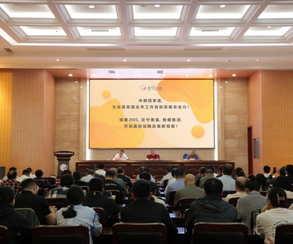 纽约国际丝绸2024年三季度经济形势分析会顺利召开